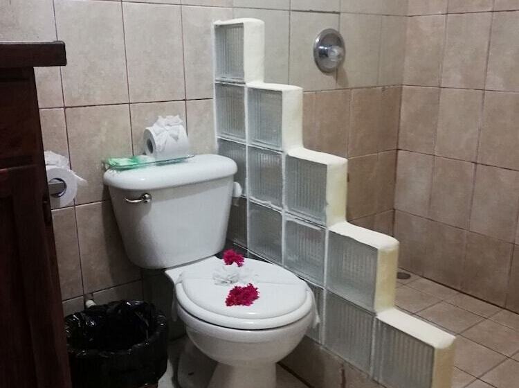 فندق Paradise Inn