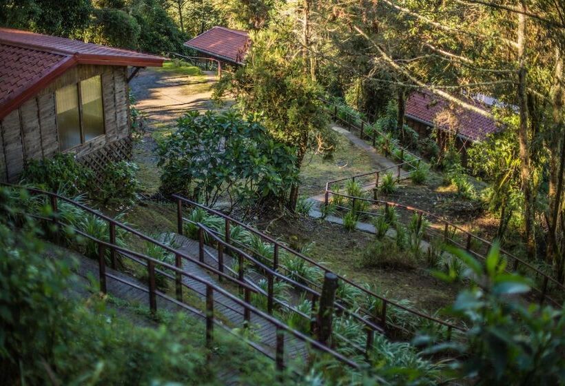 فندق Paraíso Quetzal Lodge