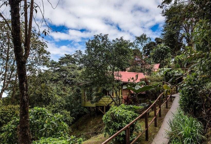فندق Paraíso Quetzal Lodge