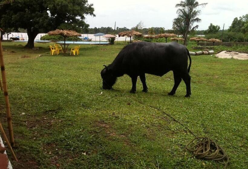 호텔 Pousada Marajoara