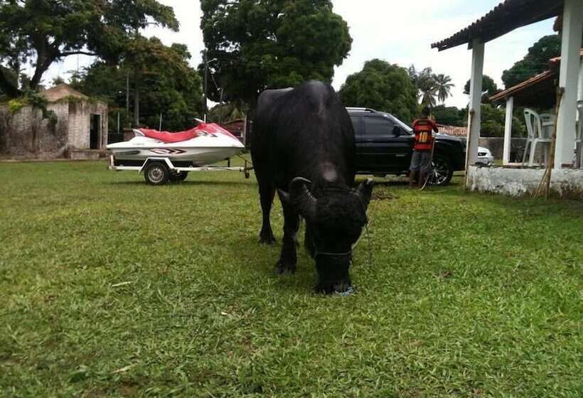 호텔 Pousada Marajoara