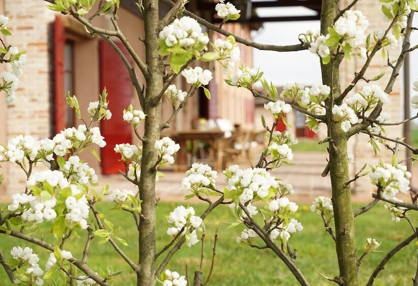 فندق ريفى Agriturismo Ca  Lealtà