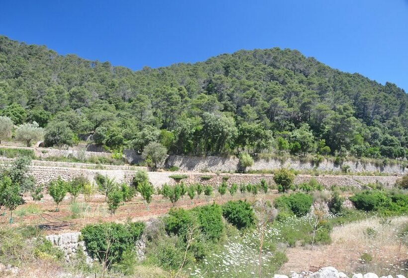 乡村酒店  Agroturismo Sa Campaneta