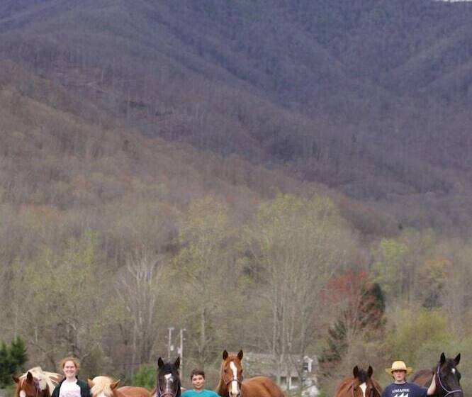 田舎風ホテル Pisgah View Ranch