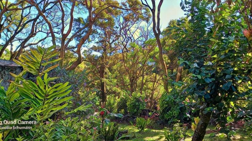 فندق Schumann S Resort & Park