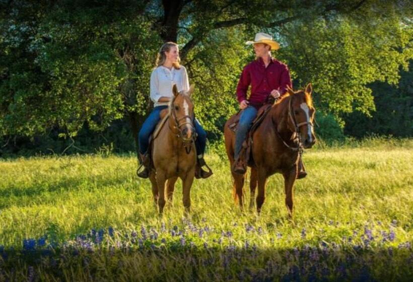 فندق Schumann S Resort & Park