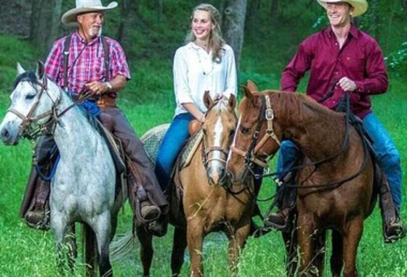 فندق Schumann S Resort & Park