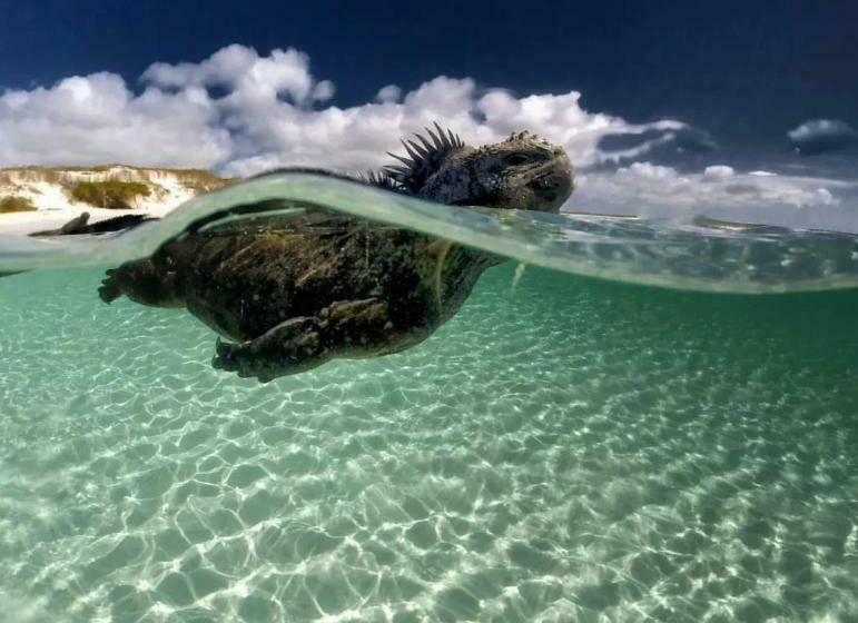 בית מלון כפרי Sun Island