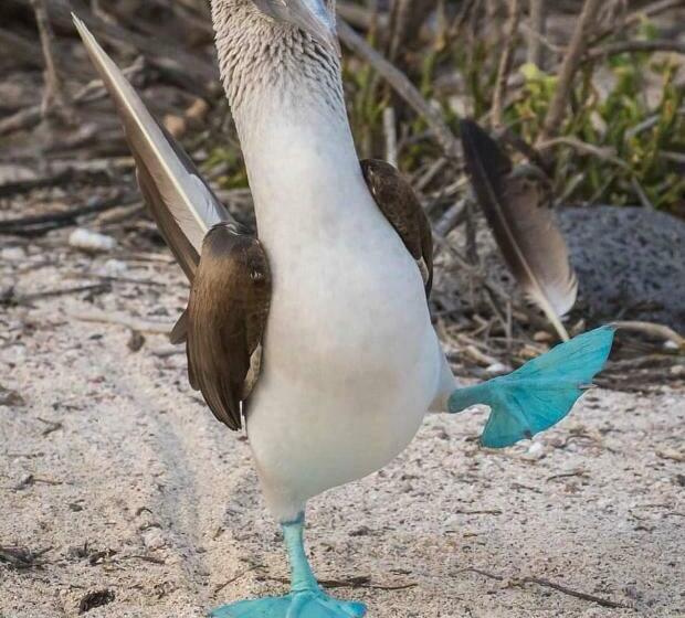 בית מלון כפרי Sun Island