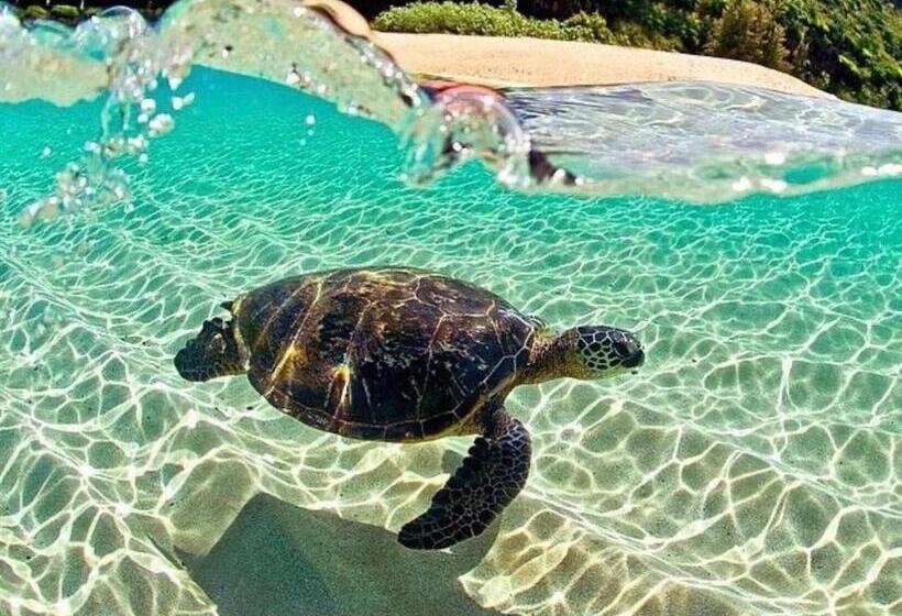 בית מלון כפרי Sun Island