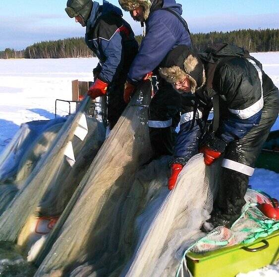 Karelia Country Cottages