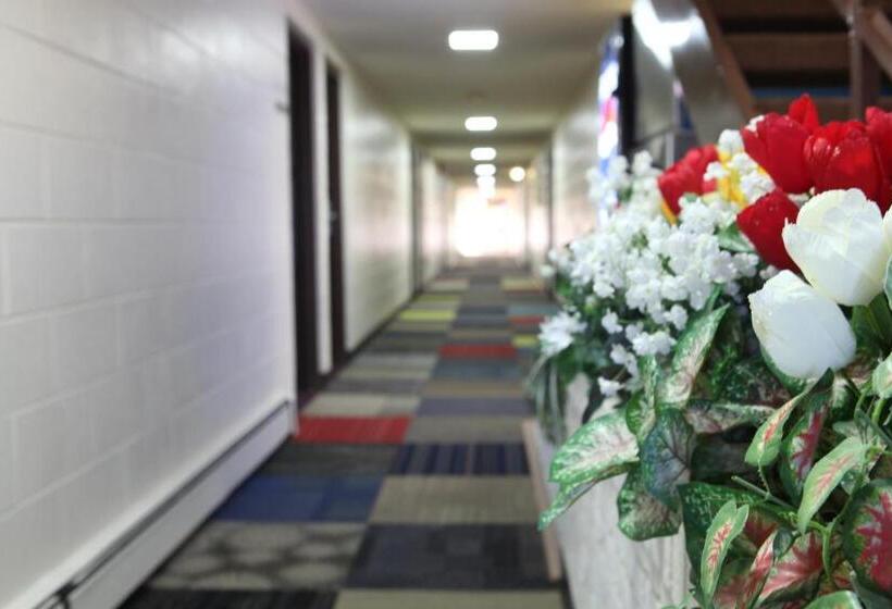 فندق على الطريق Arcadia