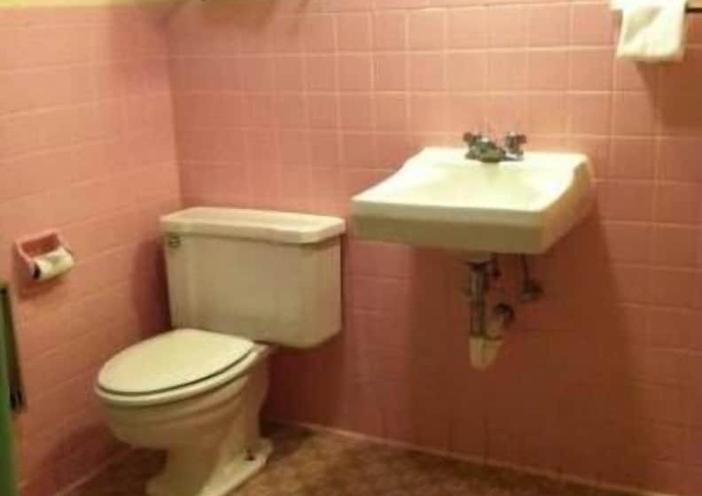 فندق على الطريق College Inn