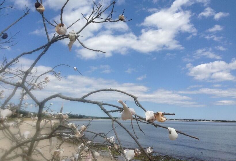 모텔 The Ocean View