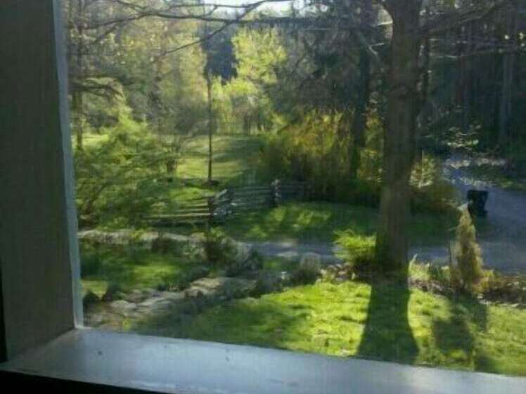 پانسیون Chestnut Lodge