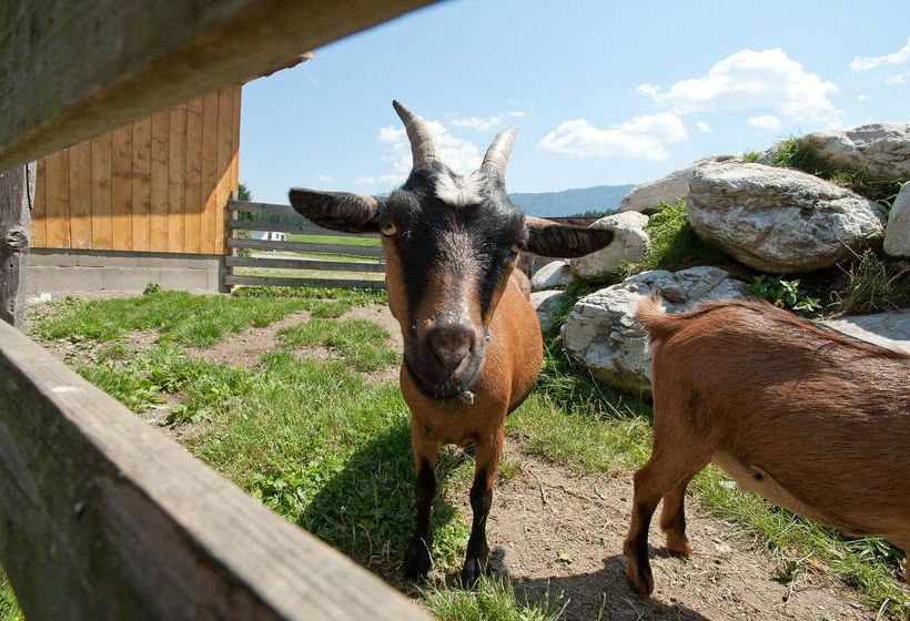 پانسیون Schluga Spa Apartments & Mobile Homes