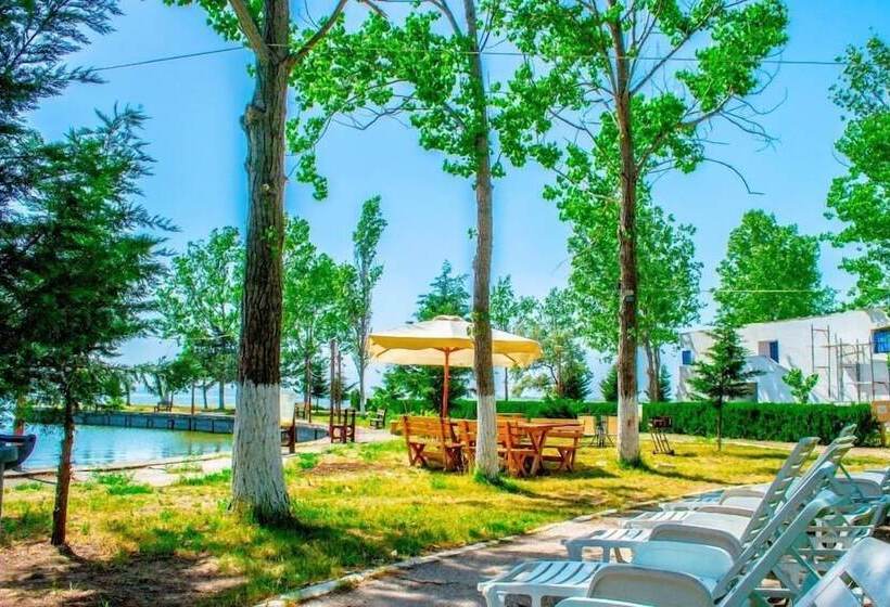 펜션 Vila Luminita