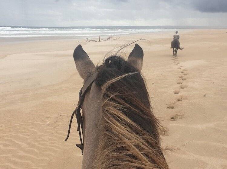 Rosedale Organic Farm B&b