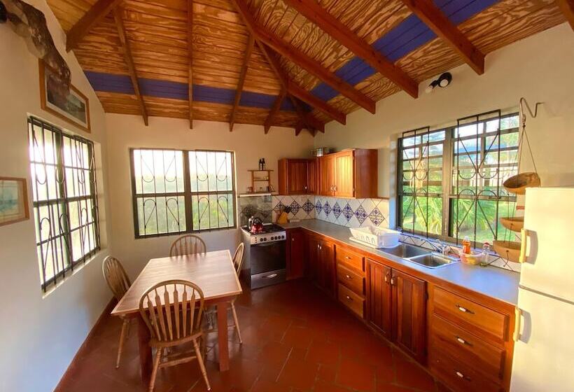 Sea Cliff Cottages