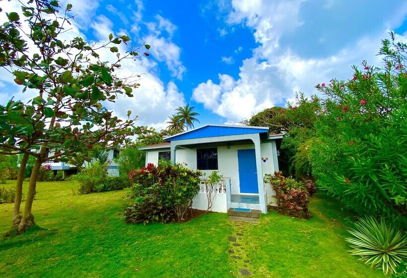 Sea Cliff Cottages