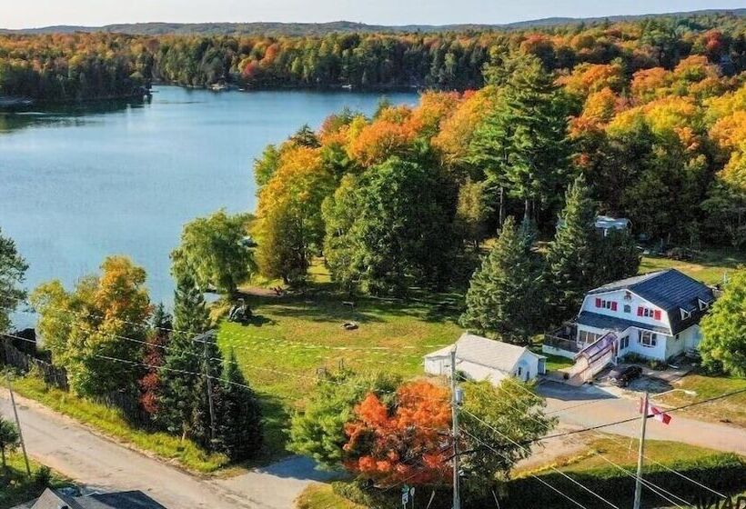 Teddy Bear Bed & Breakfast