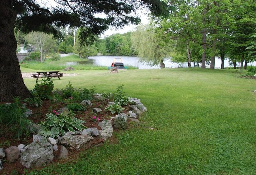 Teddy Bear Bed & Breakfast