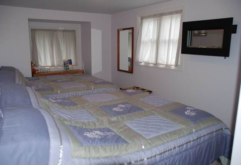 Teddy Bear Bed & Breakfast