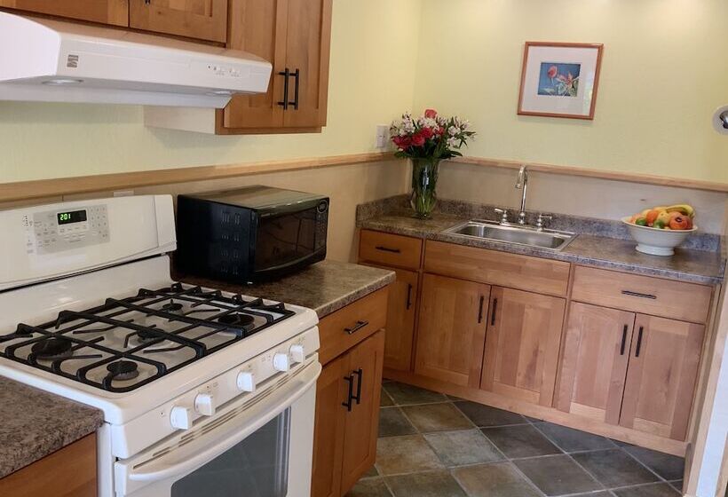 The Woods Hotel   Gay Lgbtq Cabins