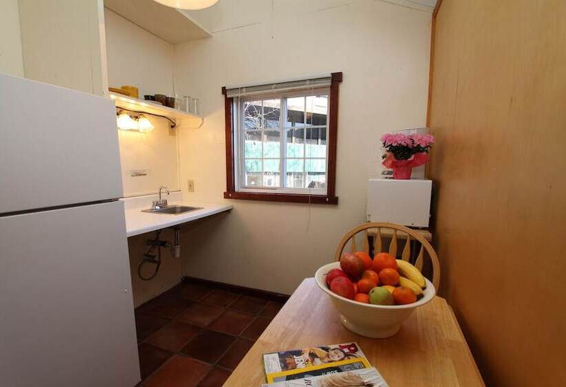 The Woods Hotel   Gay Lgbtq Cabins