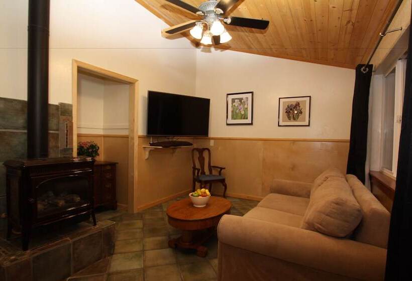 The Woods Hotel   Gay Lgbtq Cabins