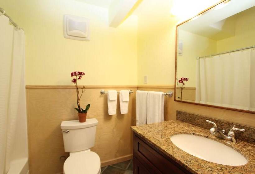 The Woods Hotel   Gay Lgbtq Cabins