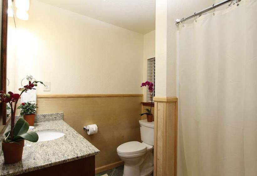 The Woods Hotel   Gay Lgbtq Cabins