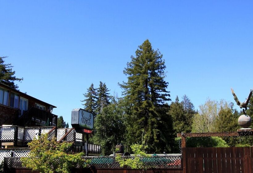 The Woods Hotel   Gay Lgbtq Cabins