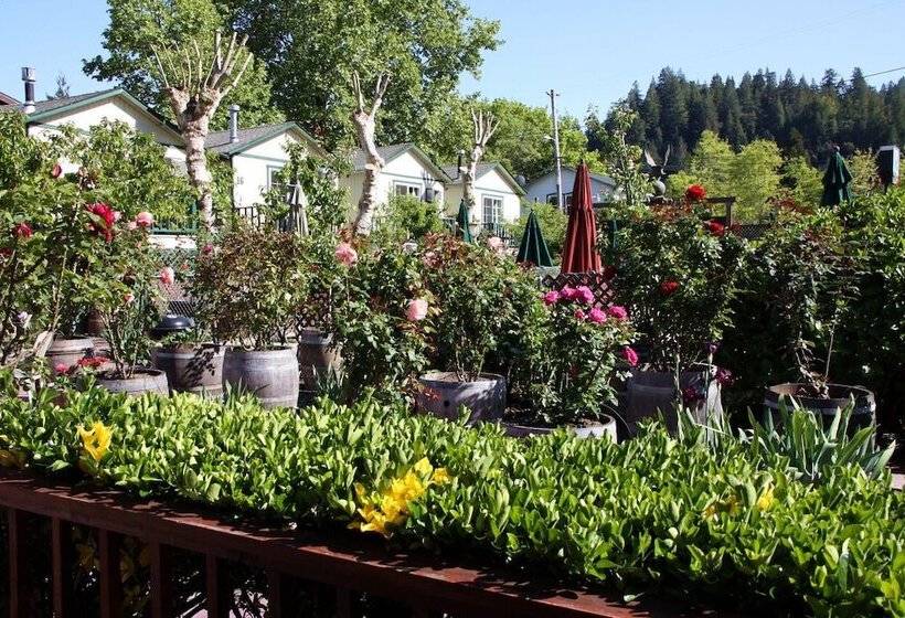 The Woods Hotel   Gay Lgbtq Cabins