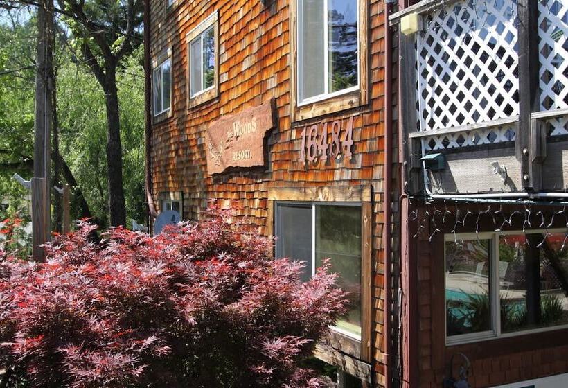 The Woods Hotel   Gay Lgbtq Cabins