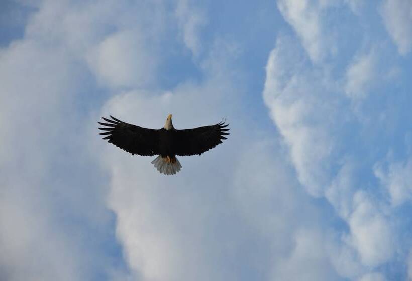 Where Eagles Fly Bed & Breakfast