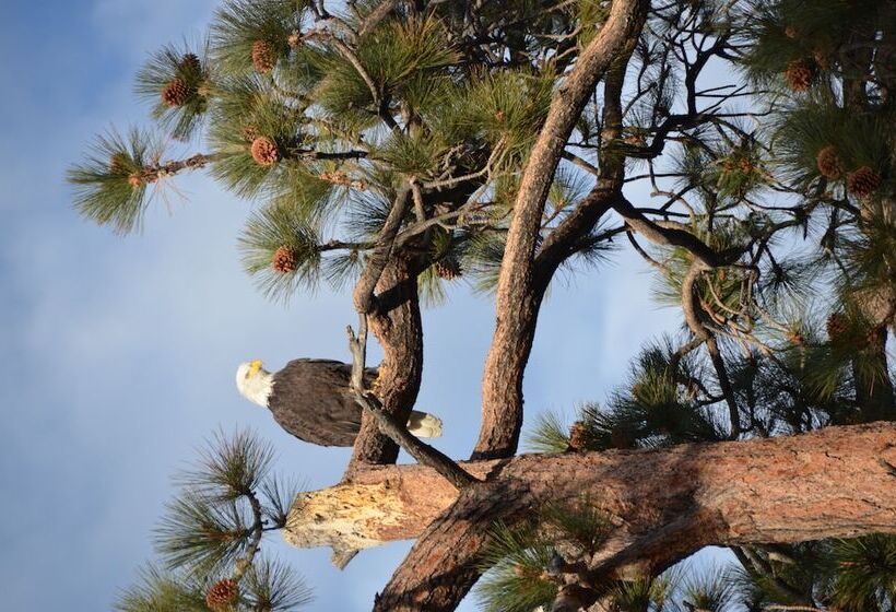 Where Eagles Fly Bed & Breakfast