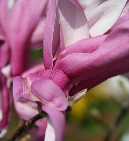 Abendruhe Hotel   Kontaktloser Check In