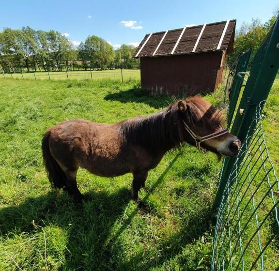 Garni Hotel Biebertal Am Milseburgradweg