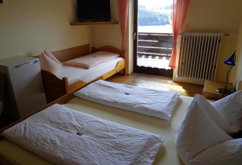 Gasthof Pension Schamberger