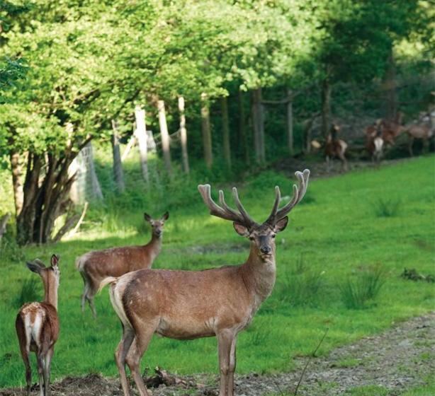 Gutshotel Odelzhausen