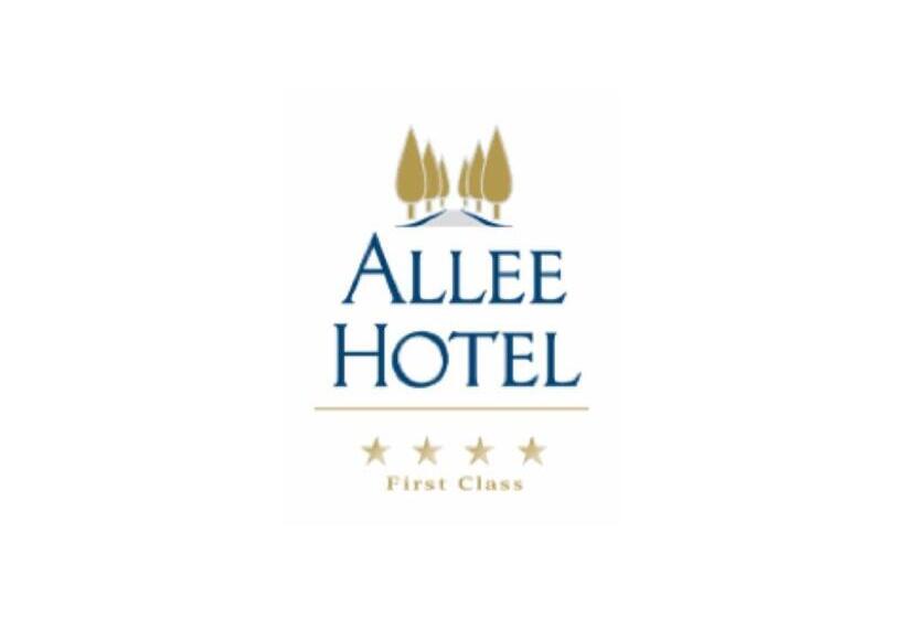 Отель Allee