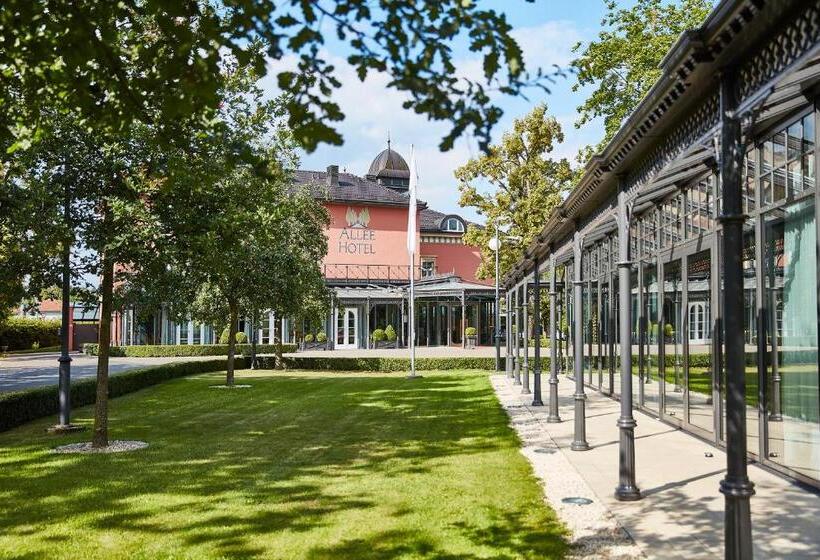 Отель Allee
