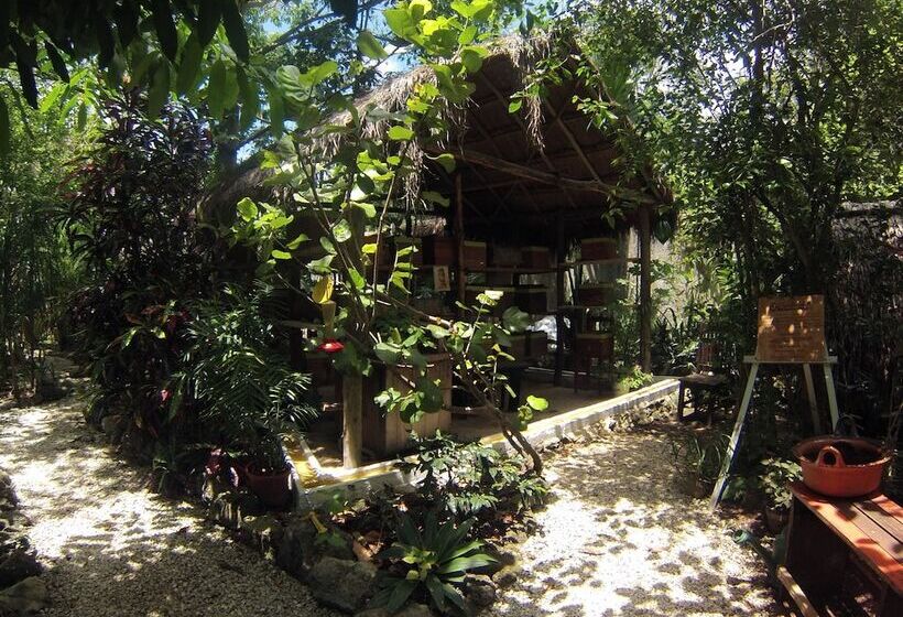 هتل Casa Don Diego