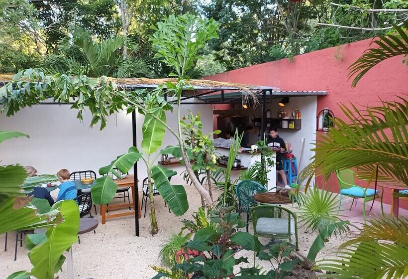 هتل Casa Don Diego