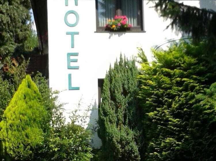 ホテル Froschkönig