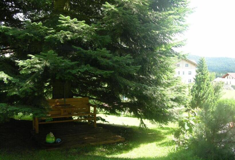 Garnihotel Arberblick