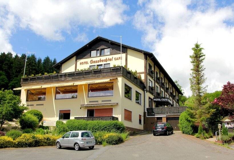 בית מלון כפרי Gassbachtal