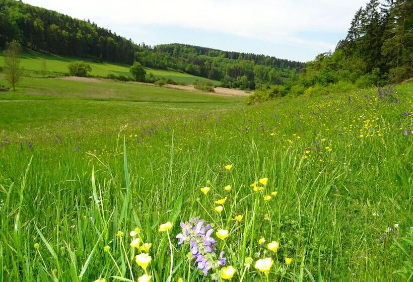 בית מלון כפרי Gasthof Zum Goldenen Lamm
