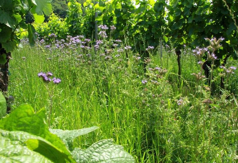 Отель & Gasthof Zum Rödelseer Schwan